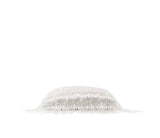 The Essence Pillow Cover